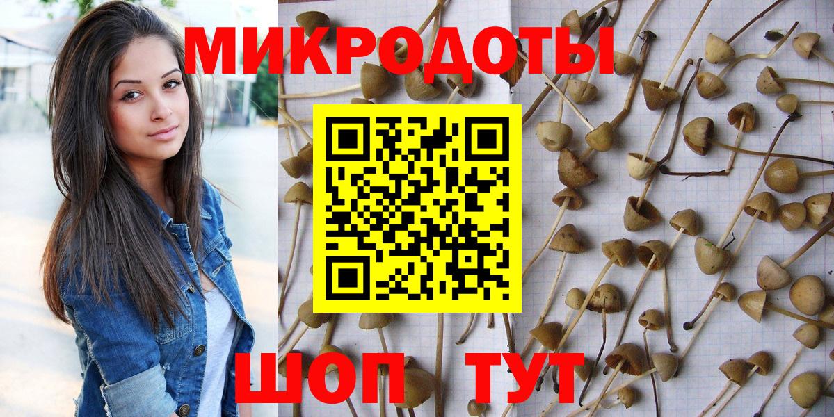 Гурьевск  цены наркотик  Вход с VPN  Псилоцибиновые грибы Psilocybe 