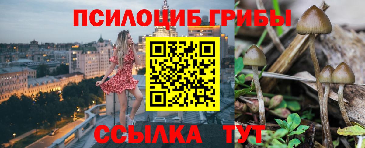 Галлюциногенные грибы MAGIC MUSHROOMS Гурьевск